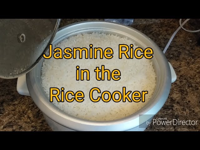 Cooking Brown Jasmine Rice in a Rice Cooker • The Incredible Bulks