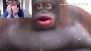 Call me Carson cries to stinky poopy monkey