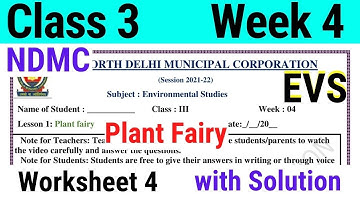 NDMC Class 3 EVS Week 4 Worksheet 4 (23/06/2021) || worksheet 4 Class 3rd evs