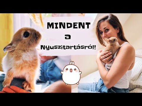 Videó: Hogyan lehet melegíteni a nyúlhéjat?