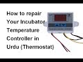 How to repair your Incubator temperature controller in Urdu (Thermostat)