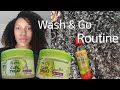 My Wash and Go Routine | Using 3 products