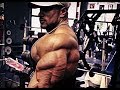 Roelly winklaar triceps  compilation  world bodybuilder workout