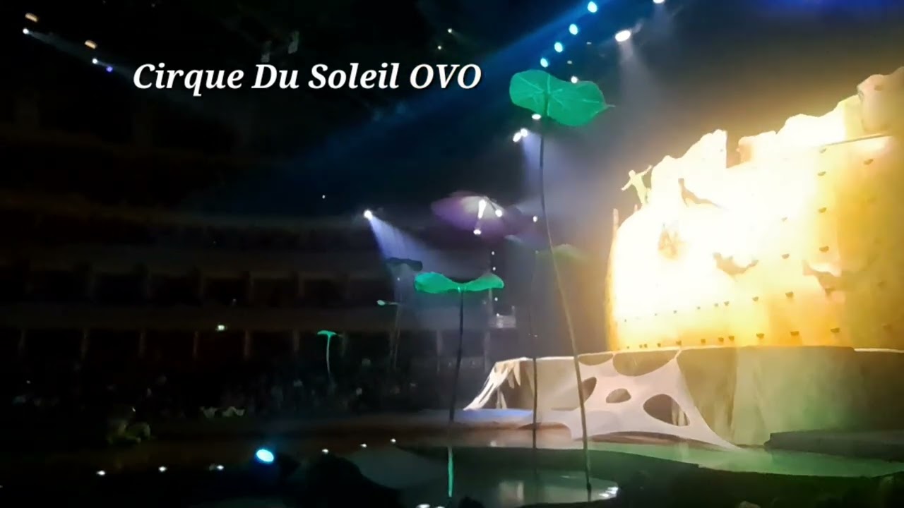 Topcashback, How I Saved on Cirque du Soleil Tickets.