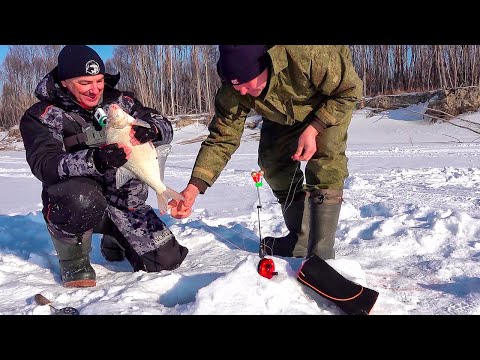 ОГО! ВОТ ЭТО ЛОПАТЫ! Крупный лещ попр на комбайны. Рыбалка с ночвкой на реке