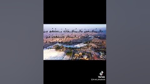 ‏سورة التوبة من الآية 62 إلى 68 القارئ الشيخ هيثم الدخين
