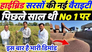  सरसों की NO 1 वैरायटी 2026  | Sarso ki top variety 2026 | Sarso ki kheti 2026 screenshot 1