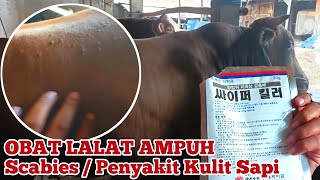 Effective Fly Repellent ‼️Scabies / Cow Skin Disease