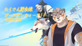 【FF14】たくさん野良練ゴールデンウィーク！【Vtuber/凍凪コウガ】
