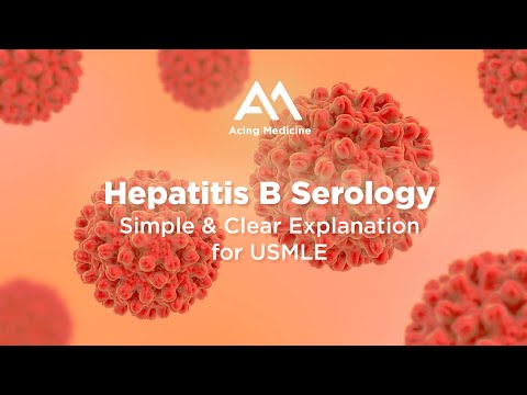 Hepatitis B Serology I Simple Explanation USMLE