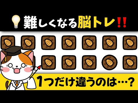 全問正解できたらすごい❗️1つだけ違うものを瞬時に探す脳トレに挑戦💡【チョコレート編】