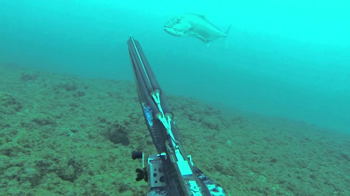 Wild Spears: A 53 kg Greater Amberjack - Spearfish...