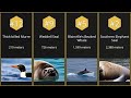 【Top 12】Deepest diving mammals by tracked depth【Searched in 2025】