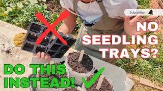 Supercharge Your Garden with This Seed Soil Roll  No Seedling Trays! #garden