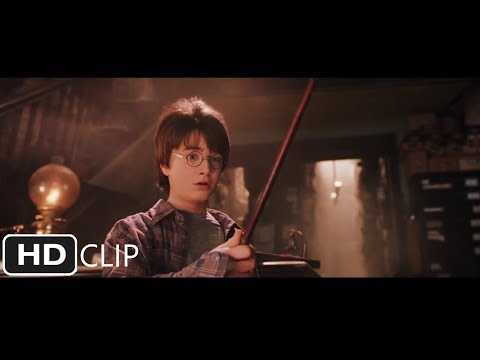 Harry Gets His Wand | Harry Potter and the Sorcerer&#039;s Stone