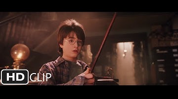 Harry Gets His Wand | Harry Potter and the Sorcerer