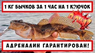 видео: Бычок-кнут на спиннинг. Черноморский бычок как ловить. Снасть на морского бычка. Приманка на бычка. картинка: Бычок-кнут на спиннинг. Черноморский бычок как ловить. Снасть на морского бычка. Приманка на бычка.