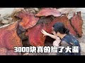 3000拿下比金丝楠乌木更稀有的千年阴沉樟木捡大漏了！