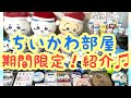 【ちいかわ】初公開！癒しのちいかわ部屋♪期間限定にて公開！