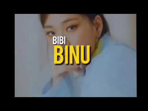 BINU TRADUÇÃO PT/BR BIBI