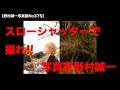 【野村誠一写真塾No375】スローシャッターで撮れ!!、その訳は、