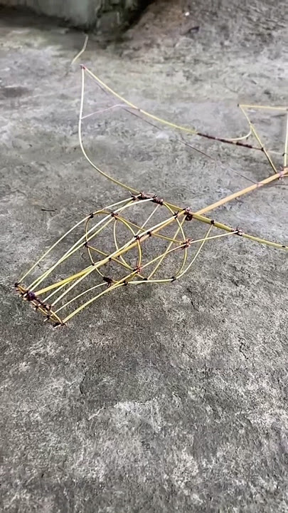 Try making a Balinese Janggan kite frame, the result will be like this #kites #BalineseJangganKit...
