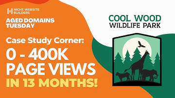 Case Study Corner: 0 - 400k page views in 13 months! - Aged Domains Tuesday #8