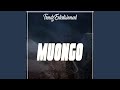 Muongo 