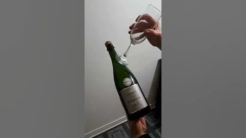 Woman Shatters Wine Bottle with Glass - 984413 - DayDayNews