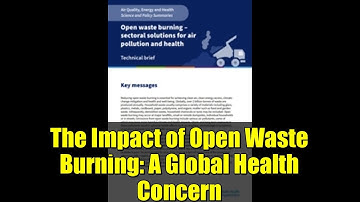 The Impact of Open Waste Burning: A Global Health Concern
