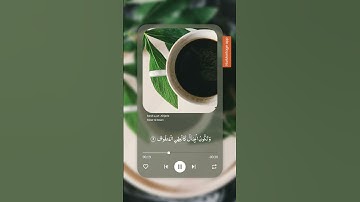 سورة القارعة/ بصوت الشيخ ياسر الدوسري #القرآن_الكريم #ياسر_الدوسري اكتب شيء تؤجر عليه / راحة نفسية