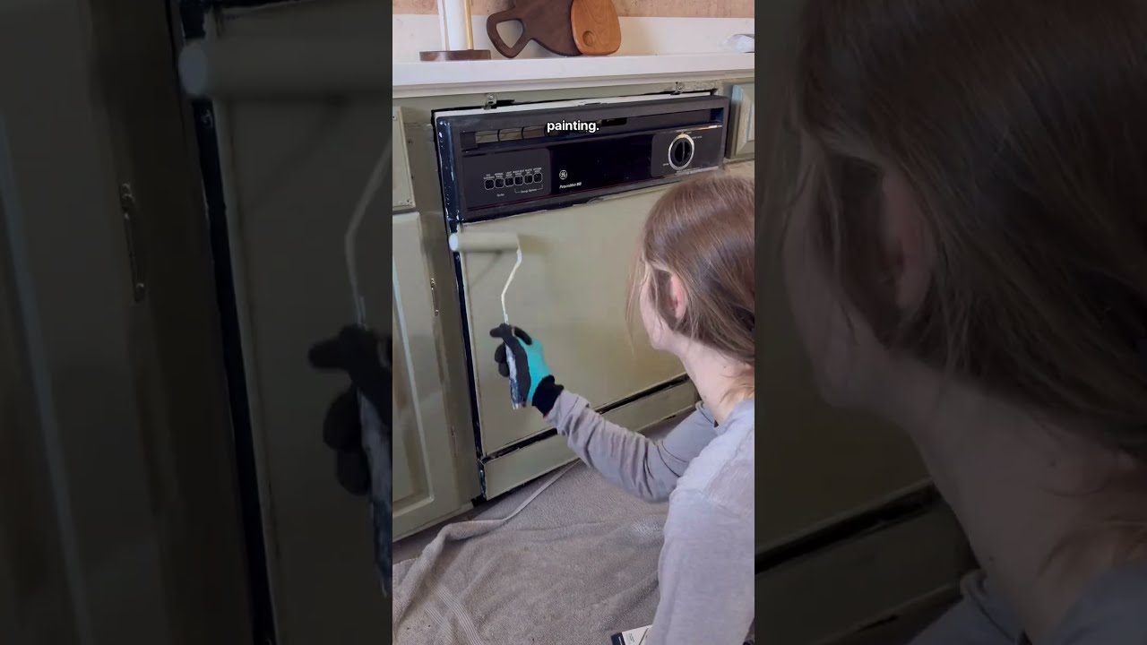 We Painted Our Dishwasher Not Only Did It Actually Work But Multiple Guests Have Complimented 