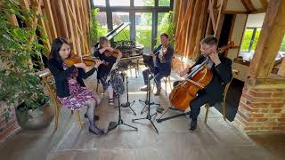 Accidentally In Love - Counting Crows - Scintillo String Quartet