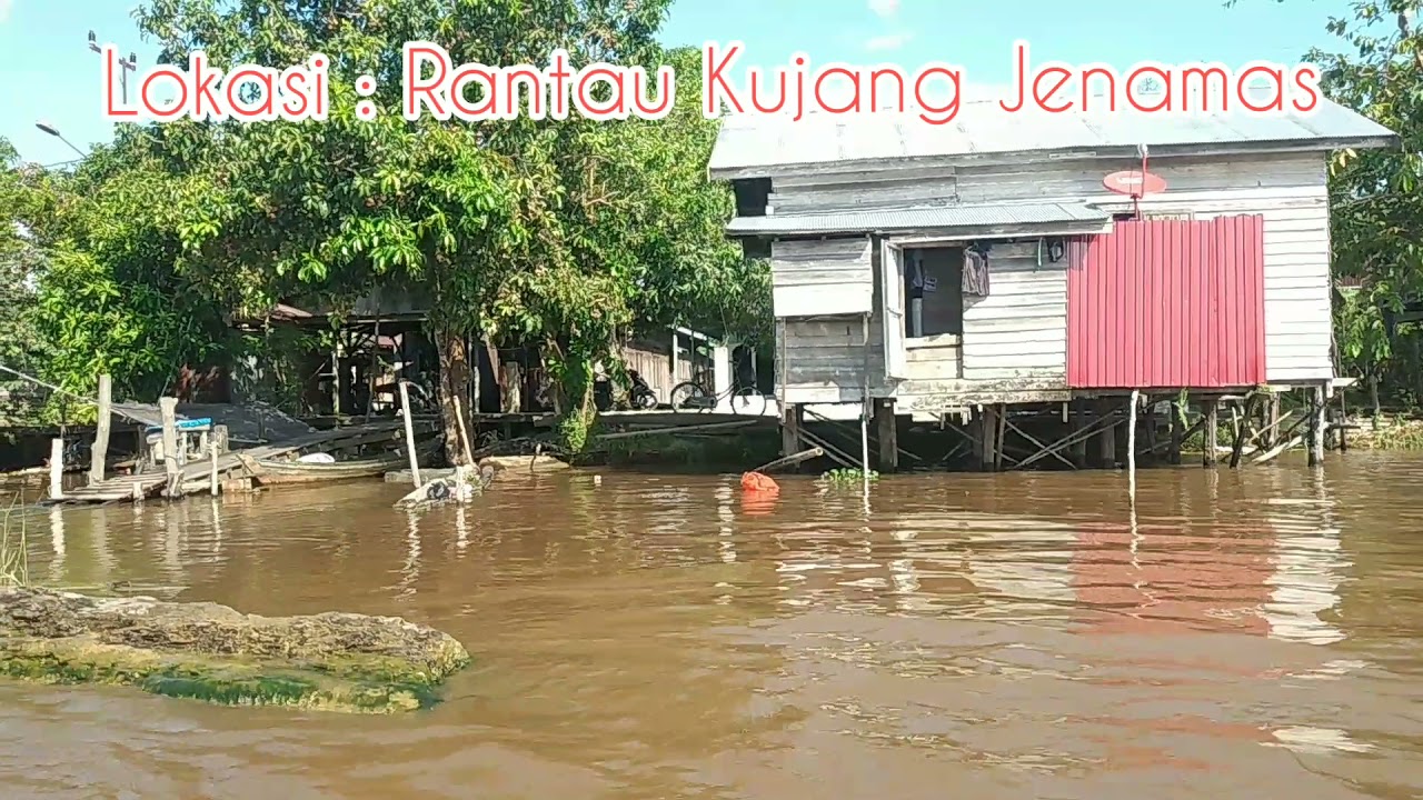 BUIH JADI PERMADANI Vocal H.Laily (Lokasi Rantau Kujang Jenamas)