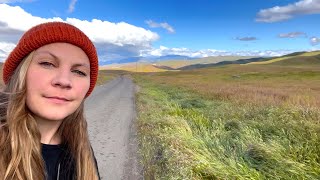 Video thumbnail of "Into the Great Wide Open - Tom Petty cover"