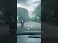 Driving Through Green Colombo 🌳 | Road Vibes
