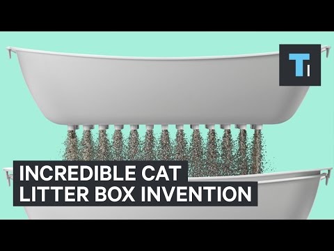 Incredible cat litter box invention