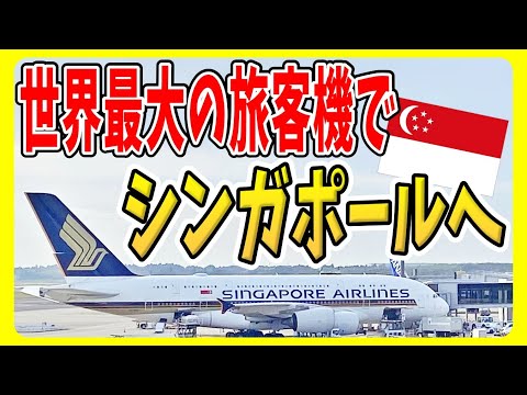 【シンガポール航空エコノミークラス】超大型機エアバスA380に搭乗！成田からシンガポールへ！２階建てスーパージャンボ #海外旅行 #シンガポール旅行 #シンガポール航空