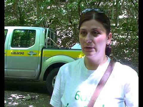 დასუფთავების აქცია მწვანე მონასტერში