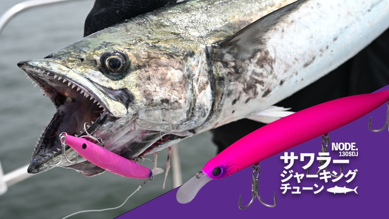 サワラ特化！【NODE.130SDJサワラージャーキングチューン】アクション動画