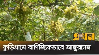 বিদেশি আঙ্গুর এখন চাষ হচ্ছে দেশেই | Kurigram | Ekhon TV