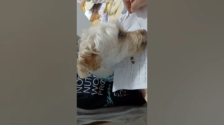 Fazendo a Melanie comer a rao...