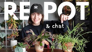 Repot and chat with me - repotting my rootbound houseplants into thrifted planters