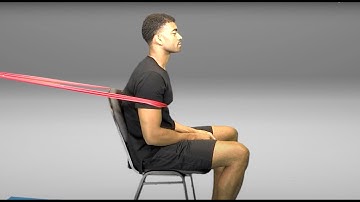 Seated Lumbar and Thoracic Forward Rotation with Anchored Resistance - HomeCEU