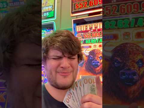 Online Bonus Hunt & Slots Bonus Compilation 🤔