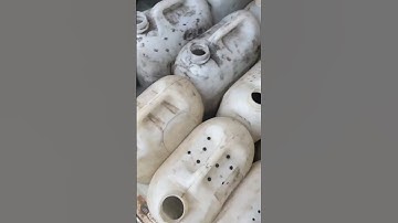 Cá sặc rằn giống. Cá giống. 0909770509 #cá_giống #trại_cá_giống_út_me