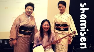 Did You Know You Can Take Free Shamisen Workshops in Asakusa?