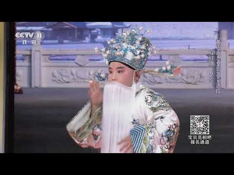 [宝贝亮相吧]黄梅戏《女驸马》选段 表演：程梓琪| CCTV戏曲