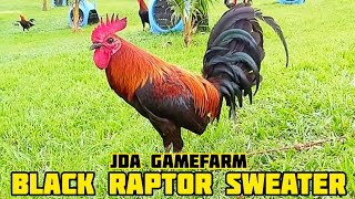 BLACK RAPTOR SWEATER - JDA GAMEFARM