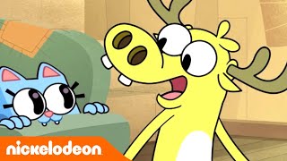 Moosebox L Muka Aneh L Nickelodeon Bahasa